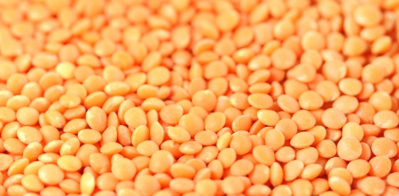 Lentil with selective focusの写真素材
