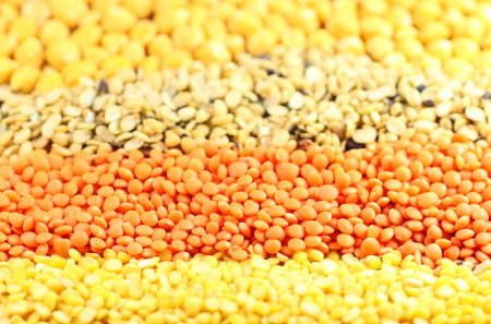 Four types of pulses with selective focus