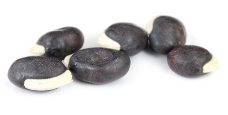 Edible seeds of hyacinth bean or Indian bean