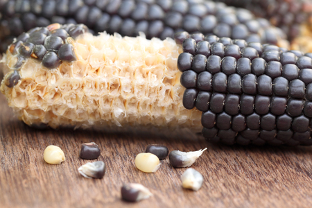 Fresh corns  blue corn の写真素材