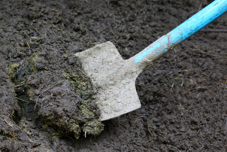 Close up of some manure with spadeの写真素材