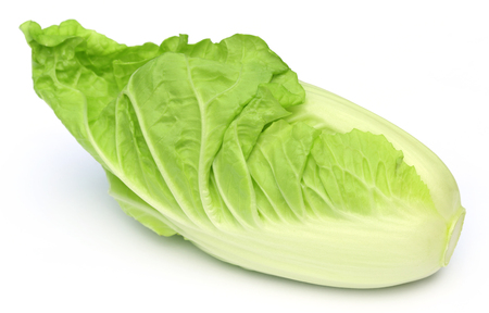 Fresh chinese cabbage over white background  の写真素材