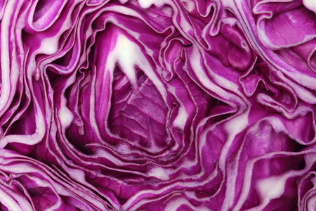 Cross section of a red cabbage backgroundの写真素材