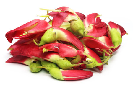 Edible Sesbania grandiflora over white backgroundの写真素材