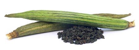 Jute seeds over white backgroundの写真素材