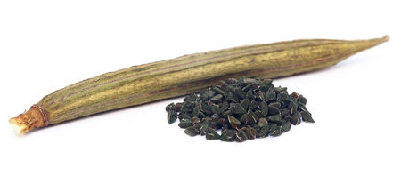 Jute seeds over white backgroundの写真素材