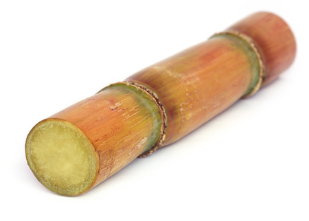 Piece of sugarcane over white backgroundの写真素材