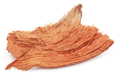 Coir of coconuts over white white backgroundの写真素材