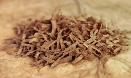 Dry tobacco leaves for making cigaretteの写真素材