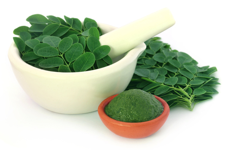 Edible moringa leaves with ground paste over white backgroundの写真素材