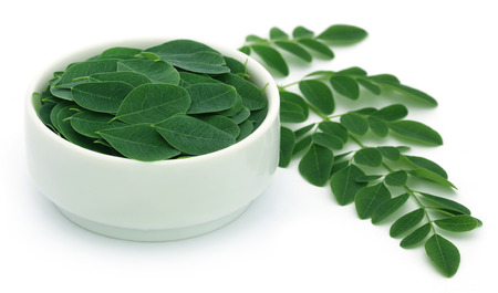 Edible moringa leaves over white backgroundの写真素材