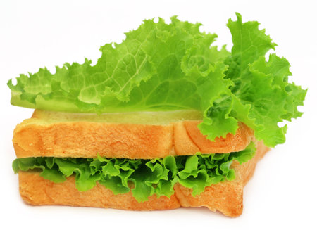 Bread slices with green lettuce over white backgroundの写真素材