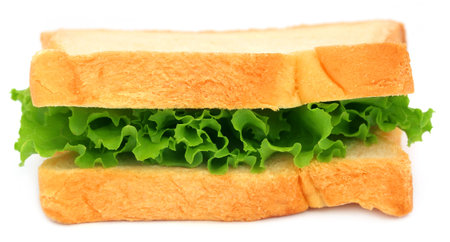 Bread slices with green lettuce inside over white backgroundの写真素材