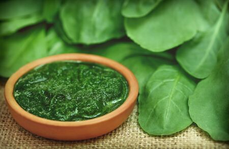 Mashed spinach in a bowl on jute with fresh leavesの写真素材