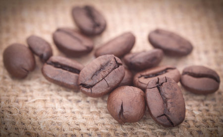 Roasted coffee beans on jute sackの写真素材