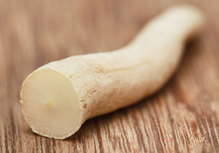 Asparagus racemosus or medicinal Shatavari of Indian subcontinentの写真素材