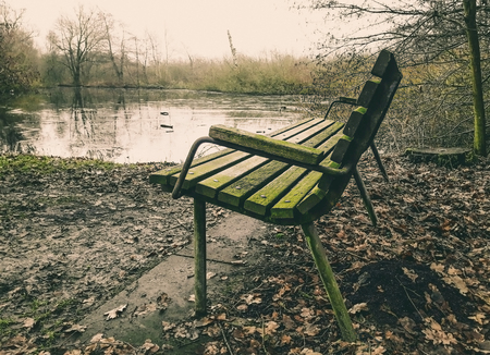 Lonely old wooden bench beside a marshland in Brunevang, Rodovre, Denmarkの写真素材