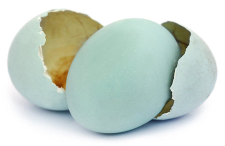 Eggs of pond heron over white background