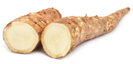 Root of Bomax tree used as ayurvedic treatmentの写真素材