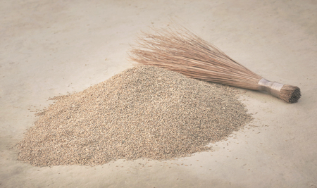 Newly harvested paddy seeds in Indian subcontinentの写真素材