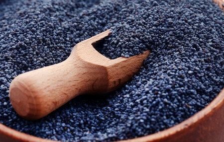 Poppy seeds in a bowl with scoopの写真素材