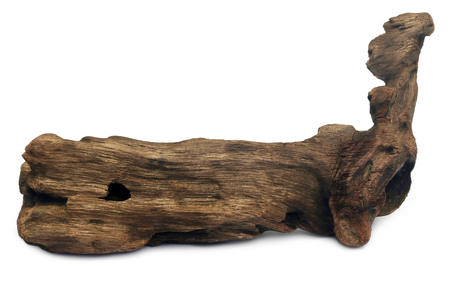 Decorative bogwood sculpture over white backgroundの写真素材