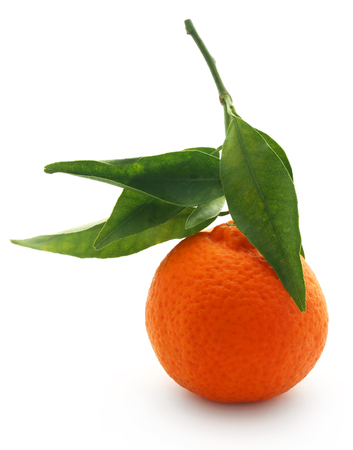 Fresh orange with green leaves over white backgroundの写真素材