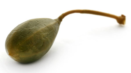 Caper berry isolated over white backgroundの写真素材