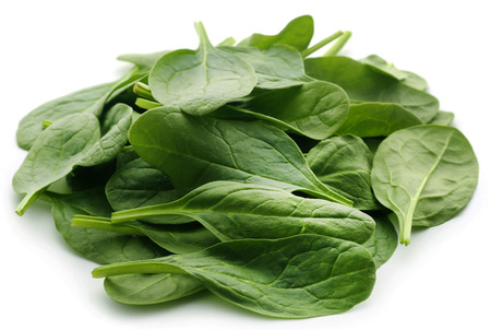 Fresh Spinach over white backgroundの写真素材