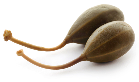 Dish of caper Berries freeshly cooked over whiteの写真素材