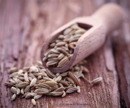Fennel seeds in a scoop on wooden surface