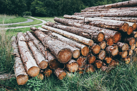 Lumber wood outdoor in rural area of Denmarkの写真素材