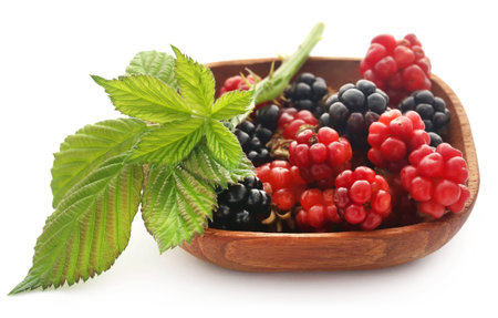 Newly harvested fresh blackberries over white background