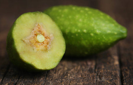 Green haritaki fruits used as herbal medicine in various parts of the world