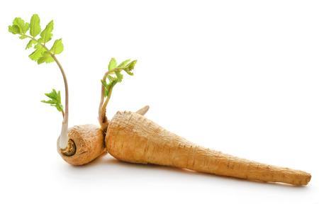 Carrots over white backgroundの写真素材