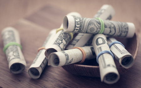 Rolled US Dollars symbolized as food product