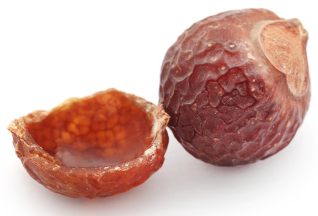 Sapindus mukorossi or Indian soapberry use in many pharmacological and cleansing purposesの写真素材