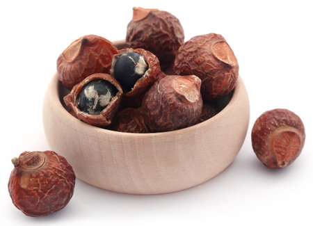 Sapindus mukorossi or Indian soapberry use in many pharmacological and cleansing purposes
