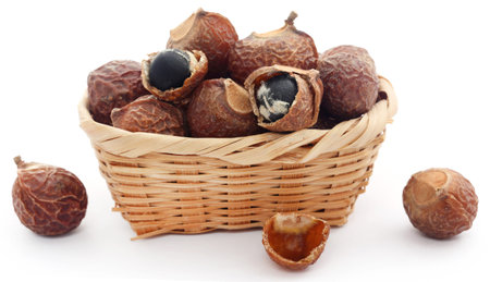 Sapindus mukorossi or Indian soapberry use in many pharmacological and cleansing purposes