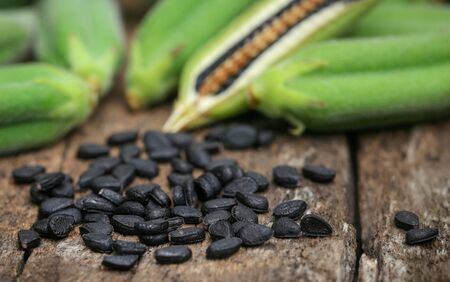 Sesame seeds with green pods on wooden surfaceの写真素材