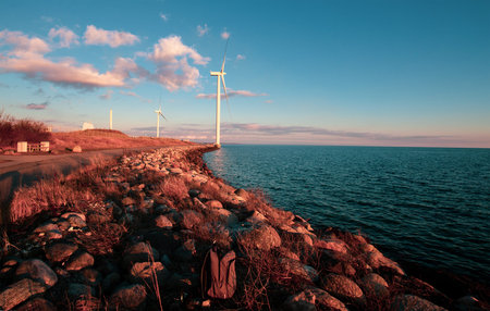 Wind power generation in Denmark near sunset