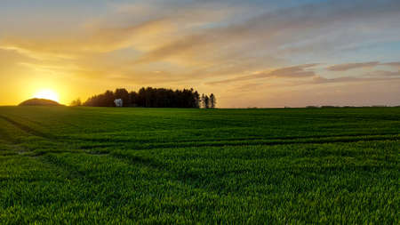 Danish agricultural field in Roskilde at sunsetの写真素材
