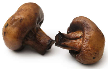 Button mushroom fried as a vegetarian foodの写真素材