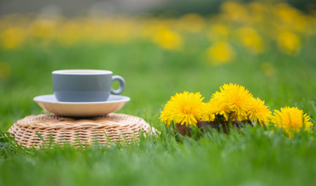 Herbal Dandelion tea in flower garden