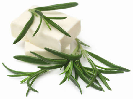 Rosemary with cheese over white backgroundの写真素材