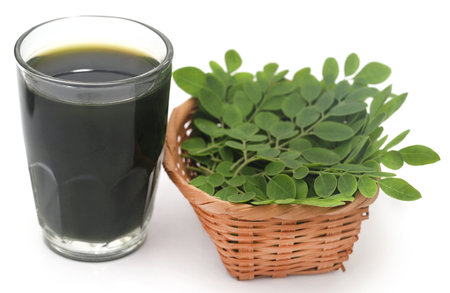 Moringa leaves with extract in a glass over white backgroundの写真素材