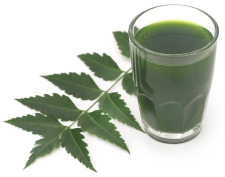 Medicinal neem leaves with extract over white backgroundの写真素材