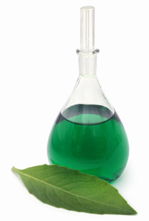Adhatoda vasica or medicinal Basak leaves  with extract in a glas jarの写真素材