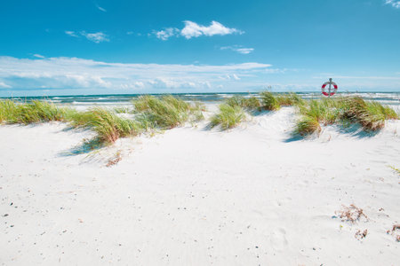 Dueodde, the white sandy beach on the south coast of Bornholm, Denmarkの写真素材