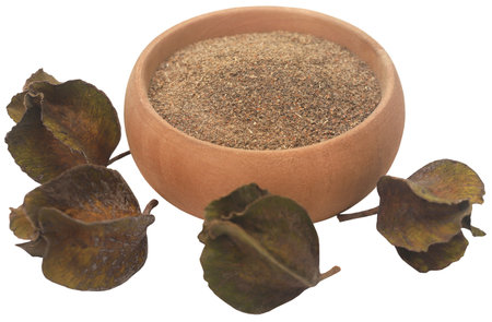 Ayurvedic arjun fruit with ground powder in bowlの写真素材